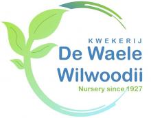 De Waele-Wilwoodii