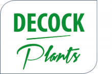 decock