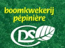 dsplant