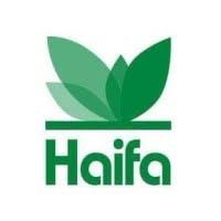 haifa